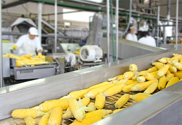 Application of Drawer Magnets in Food Processing Application of Drawer Magnets in Food Processing